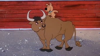Scooby nas Touradas