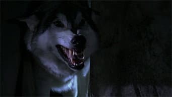 Episódio 11