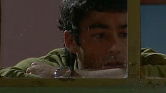 Episódio 219