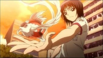 Episódio 11