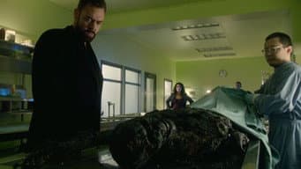 Episódio 8