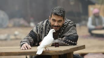 Episódio 15