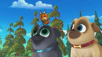 Episódio 16