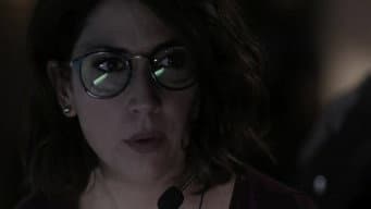 Episódio 14