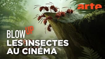 Episódio 40