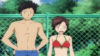Um Tubarão Aparece em Uma Piscina pública