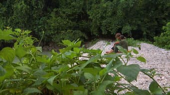Episódio 42