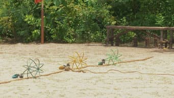 Episódio 29