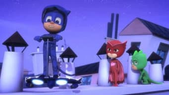 O Fiasco do Voo do Menino Gato