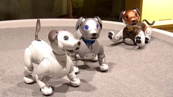 Episódio 18