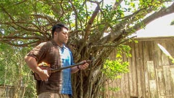 Episódio 12