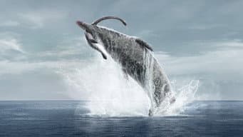 Oceanos