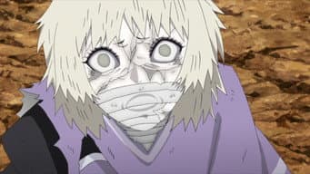 Mitsuki e Sekiei