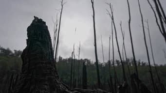 Episódio 11