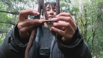 Episódio 4