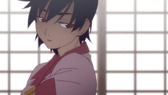 Suruga Monkey 2