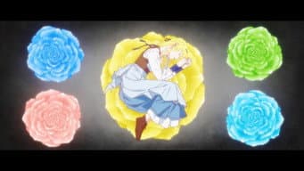 Acerola Bon Appétit, Parte 2