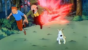Tintin e os Tímpanos (Primeira Parte)