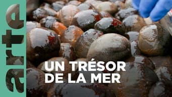 Episódio 15
