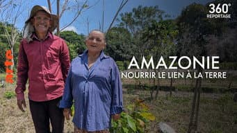 Episódio 31