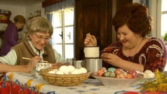 Episódio 14