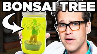 Episódio 35