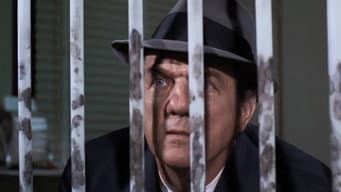 Episódio 7