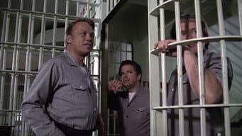 Episódio 3