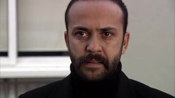 Episódio 7