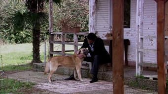 Episódio 10