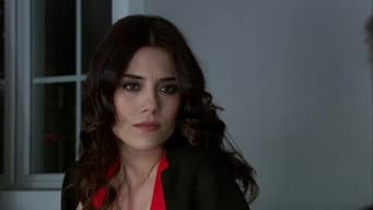 Episódio 23