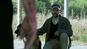 Episódio 30