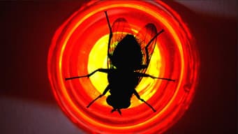A Mosca