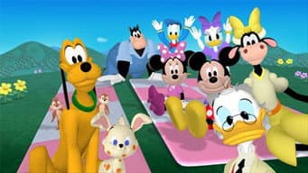 O Piquenique da Minnie