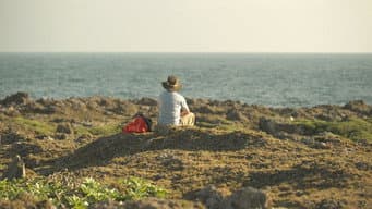 Episódio 8