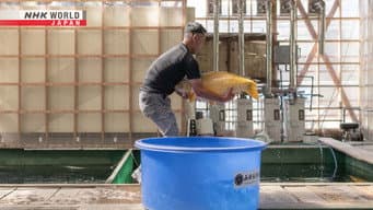 Episódio 13