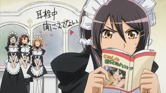 Qual é a cor do Misaki? Cor natural?