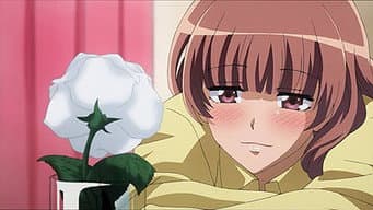 O amor da gravadora independente de Sakura
