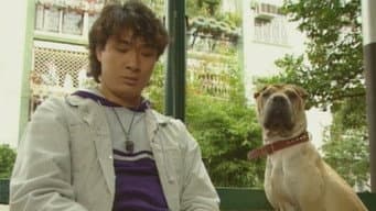 Episódio 16