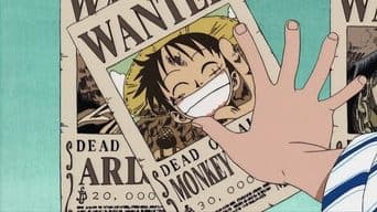 Recompensa! Luffy Chapéu de Palha Torna-se Famoso!