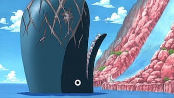 O primeiro forte! Surge Laboon, a baleia gigantesca!
