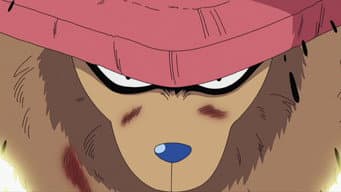 A Akuma no Mi do Tipo Zoan! As Sete Transformações de Chopper!