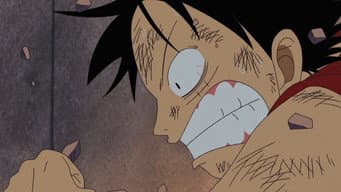 Cheiro de Crocodilo! Corra Para o Cemitério da Família Real, Luffy!