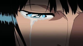 Tudo pelo bem de um Nakama! Robin na escuridão!