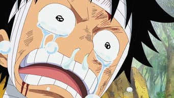 Eu Quero Vê-los! As Lutuosas Lágrimas de Luffy!