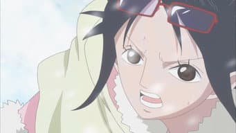 Reencontro Após Dois Anos! Luffy e Law!