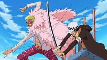 Um Duelo de Shichibukais! Law vs. Doflamingo!