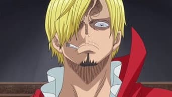 Duelo Desolador! Luffy vs Sanji! (Parte 1)
