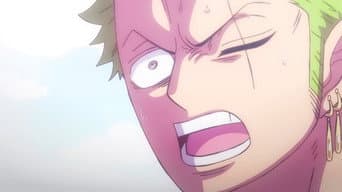 A Fúria de Zoro! A Verdade por Trás do SMILE!