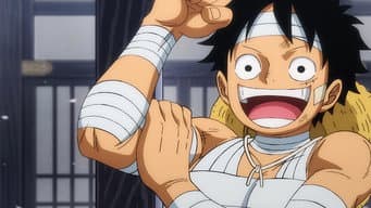Chega o Alvorecer! O Descanso de Luffy e seus Companheiros!